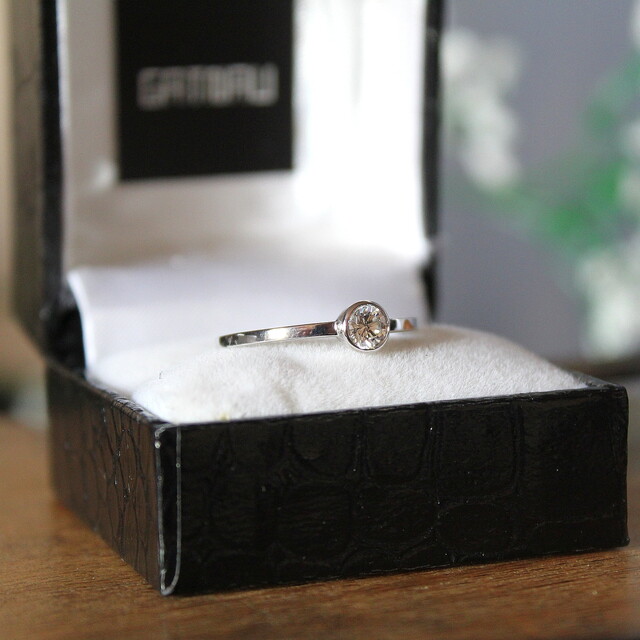 Anillo Dèlia Oro Blanco y Diamante